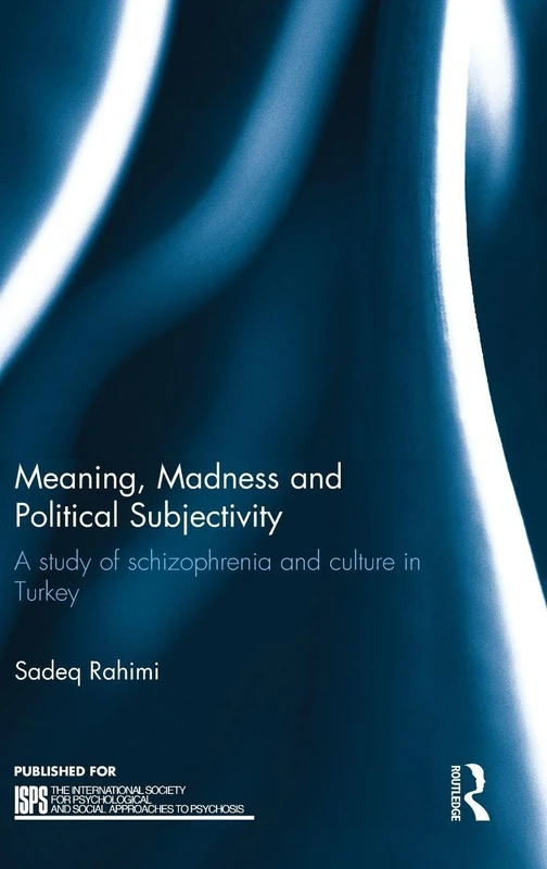 Routledge Meaning, Madness and Political Subjectivity Book