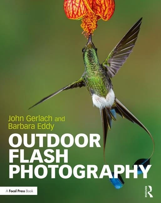 Outdoor Flash Photography - Image 1