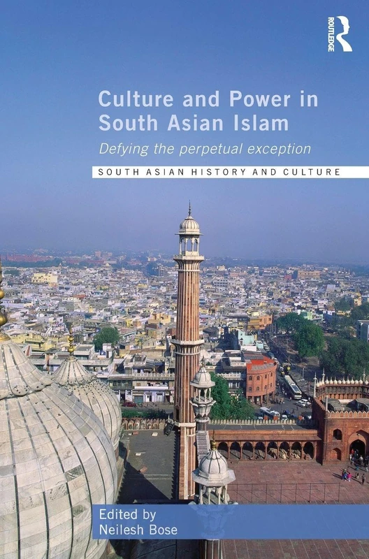 Culture and Power in South Asian Islam: Defying the Perpetual Exception (South Asian History and Culture)