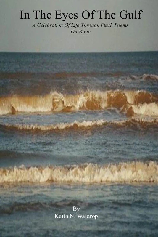 In The Eyes Of The Gulf - A Celebration Of Life Through Flash Poems On Value - Image 1