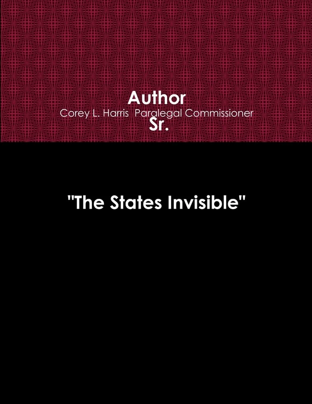 "The States Invisible" http://www.chsserviceprovider.com , http://www.crbov.com - Image 1