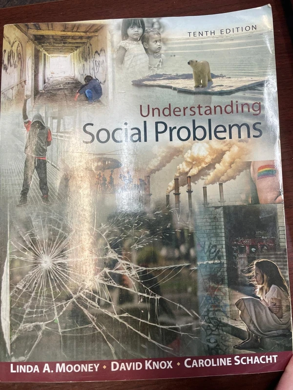 Understanding Social Problems