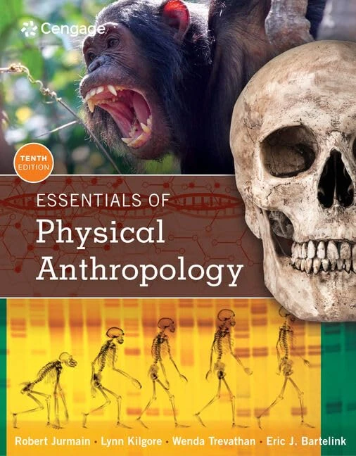 Essentials of Physical Anthropology (Mindtap Course List)