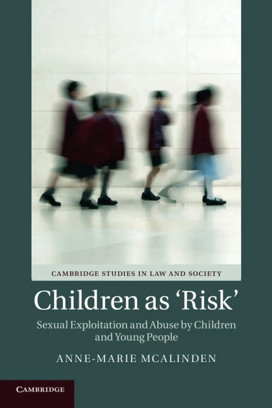Children as ‘Risk': Sexual Exploitation and Abuse by Children and Young People (Cambridge Studies in Law and Society)