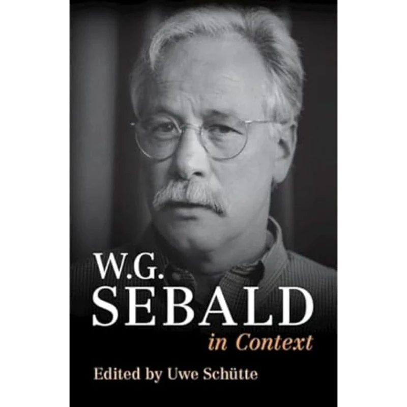 W. G. Sebald in Context (Literature in Context)