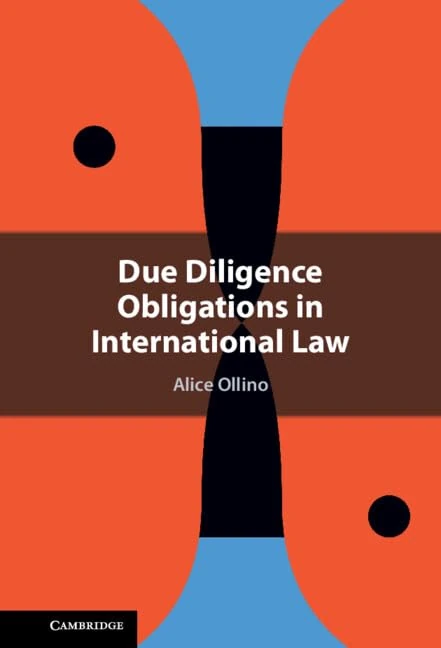 Due Diligence Obligations in International Law - Image 1