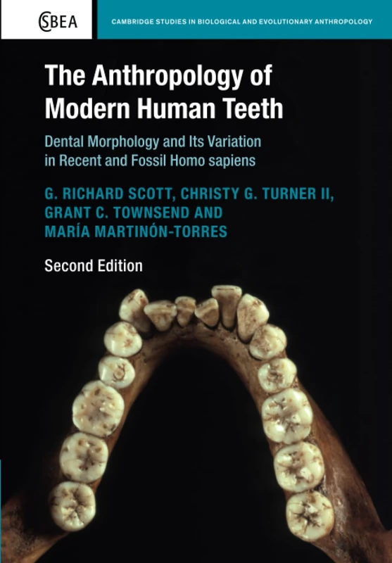 The Anthropology of Modern Human Teeth: Dental Morphology and Its Variation in Recent and Fossil Homo sapiens: 79 (Cambridge Studies in Biological and Evolutionary Anthropology, Series Number 79)