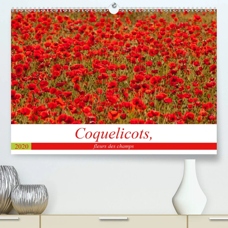 Coquelicots, fleurs des champs 2020: Des coquelicots toute l'année avec ce calendrier ! (Calvendo Nature)