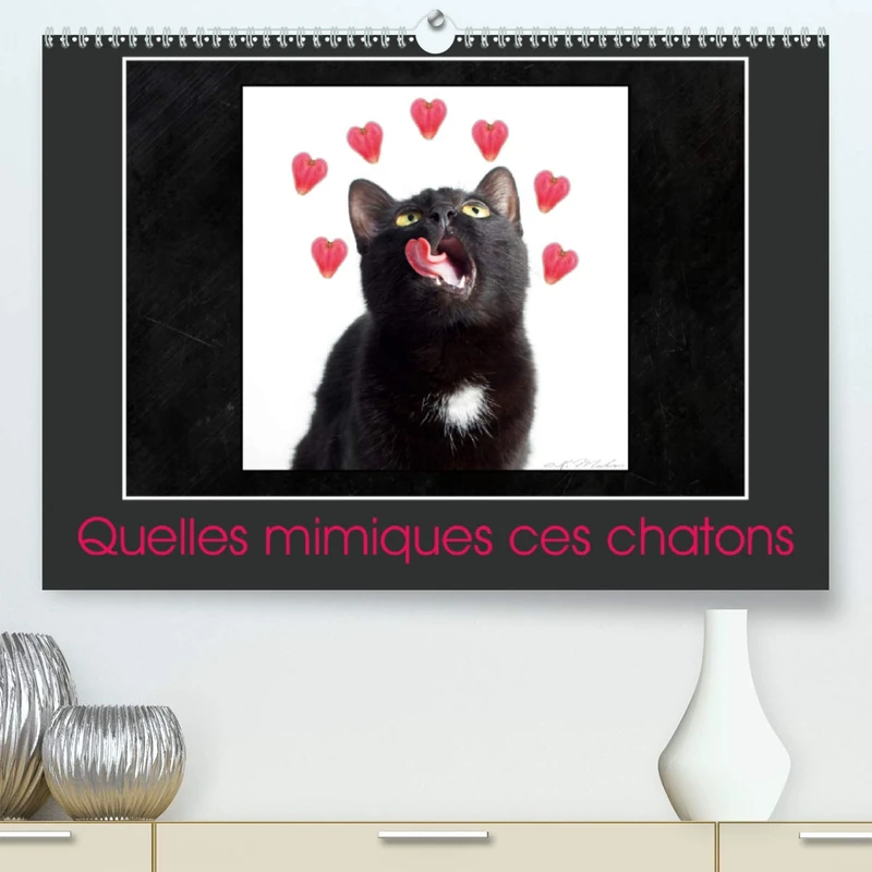 Quelles mimiques ces chatons (Premium, hochwertiger DIN A2 Wandkalender 2021, Kunstdruck in Hochglanz): Un calendrier plein d'humour (Calendrier mensuel, 14 Pages )