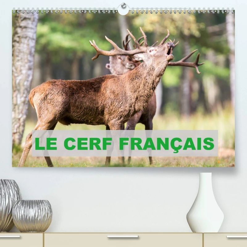 Le Cerf Français (Premium, hochwertiger DIN A2 Wandkalender 2021, Kunstdruck in Hochglanz): Photos de cerfs en France (Calendrier mensuel, 14 Pages )