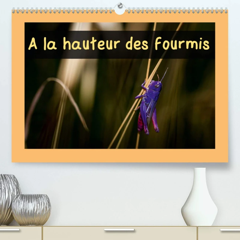 A la hauteur des fourmis (Premium, hochwertiger DIN A2 Wandkalender 2021, Kunstdruck in Hochglanz): Calendrier mensuel, 14 pages avec des ... Orientales (Calendrier mensuel, 14 Pages )