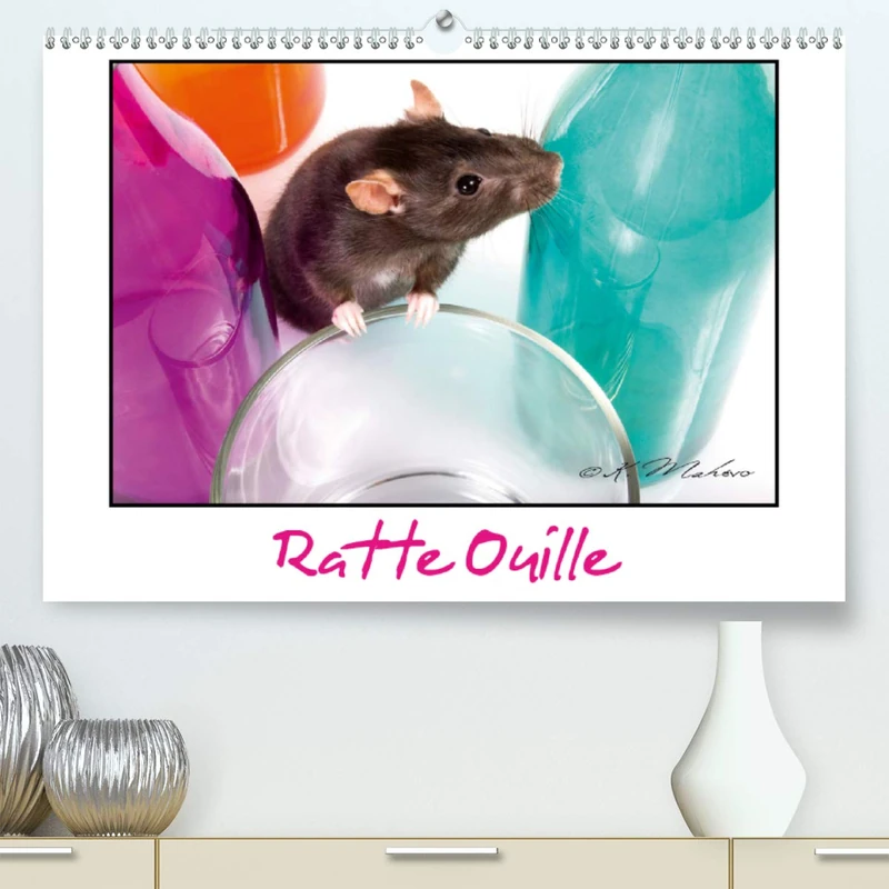 Ratte Ouille (Premium, hochwertiger DIN A2 Wandkalender 2021, Kunstdruck in Hochglanz): Gentille muridée (Calendrier mensuel, 14 Pages )