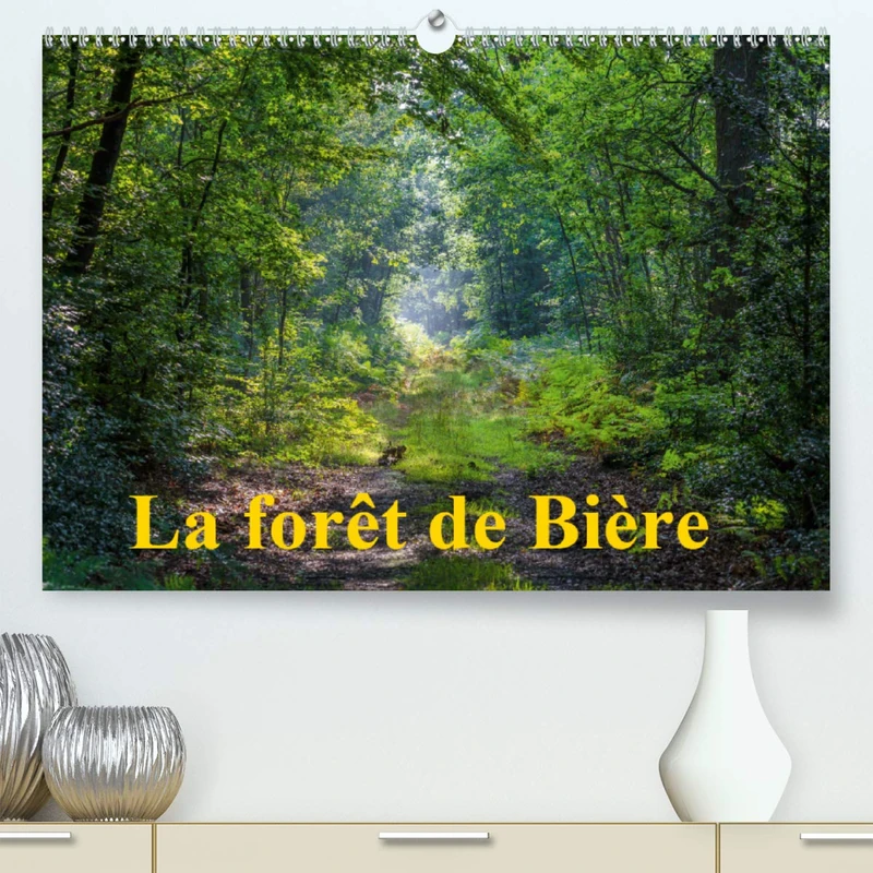 La forêt de Bière (Premium, hochwertiger DIN A2 Wandkalender 2021, Kunstdruck in Hochglanz): Paysages de la forêt de Fontainebleau (Calendrier mensuel, 14 Pages )