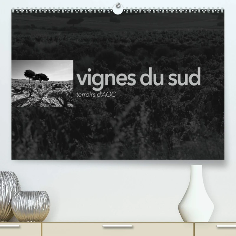VIGNES DU SUD terroirs d'AOC (Premium, hochwertiger DIN A2 Wandkalender 2021, Kunstdruck in Hochglanz): Paysages des terroirs viticoles AOC du sud de la France (Calendrier mensuel, 14 Pages )