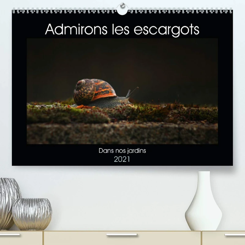 Admirons les escargots (Premium, hochwertiger DIN A2 Wandkalender 2021, Kunstdruck in Hochglanz): Dans nos jardins (Calendrier mensuel, 14 Pages )