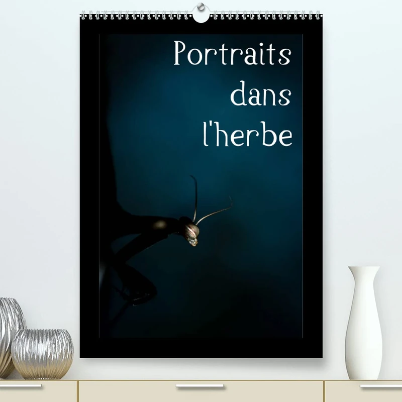 Portraits dans l'herbe (Premium, hochwertiger DIN A2 Wandkalender 2022, Kunstdruck in Hochglanz): Portrait d'insectes des Pyrénées dans leur environnement (Calendrier mensuel, 14 Pages )