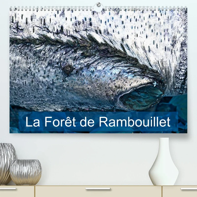 La forêt de Rambouillet (Premium, hochwertiger DIN A2 Wandkalender 2022, Kunstdruck in Hochglanz): La forêt francilienne de Rambouillet (Calendrier mensuel, 14 Pages )