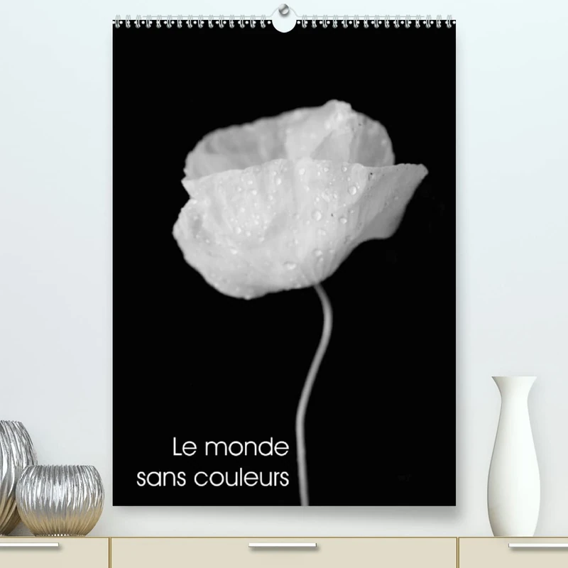 Le monde sans couleurs (Premium, hochwertiger DIN A2 Wandkalender 2023, Kunstdruck in Hochglanz): Une belle collection de photos monochromes de fleurs (Calendrier mensuel, 14 Pages )