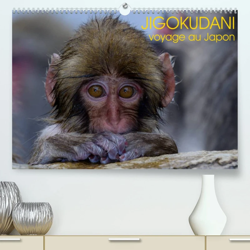 JIGOKUDANI voyage au Japon (Premium, hochwertiger DIN A2 Wandkalender 2023, Kunstdruck in Hochglanz): Un voyage à travers de magnifiques portraits de macaques japonais (Calendrier mensuel, 14 Pages ) - Image 1