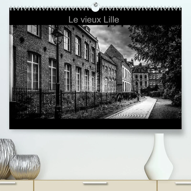 Le Vieux Lille (Premium, hochwertiger DIN A2 Wandkalender 2023, Kunstdruck in Hochglanz): Photographies en noir et blanc des rues du "Vieux Lille" (Calendrier mensuel, 14 Pages )