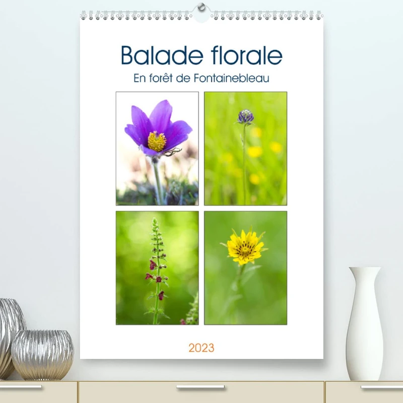Balade florale en forêt de Fontainebleau (Premium, hochwertiger DIN A2 Wandkalender 2023, Kunstdruck in Hochglanz): Découvrez une jolie fleur sauvage ... chaque mois. (Calendrier mensuel, 14 Pages )