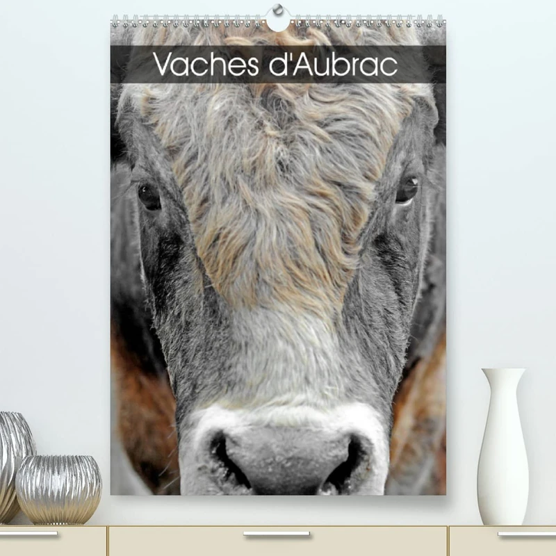 Vaches d'Aubrac (Premium, hochwertiger DIN A2 Wandkalender 2023, Kunstdruck in Hochglanz): Les vaches de la race Aubrac en Aveyron (Calendrier mensuel, 14 Pages )