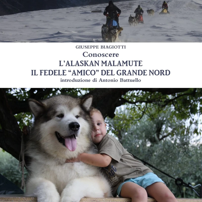 Conoscere L'alaskan Malamute - Il Fedele "Amico" Del Grande Nord - Image 1