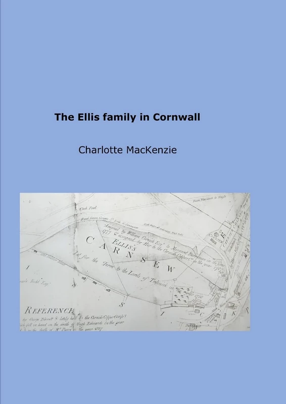 The Ellis family in Cornwall - Image 1