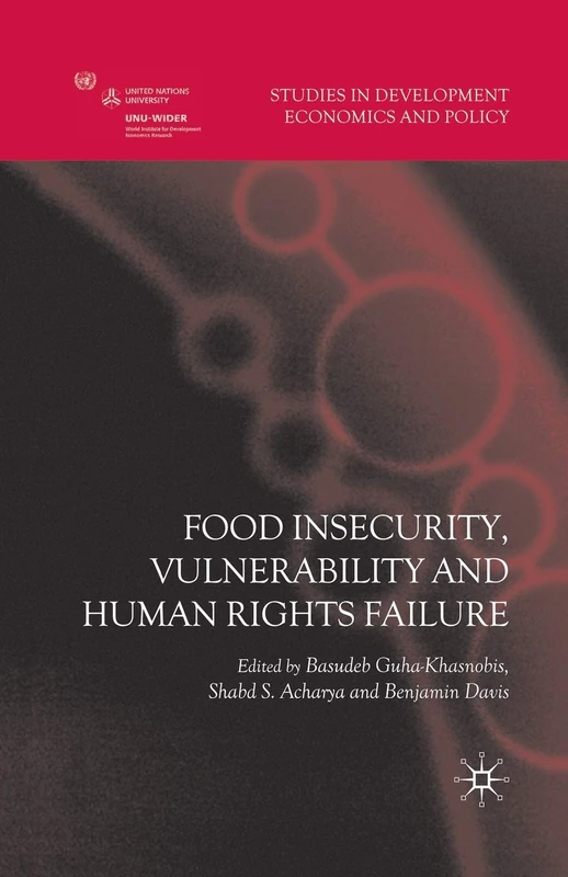 Food Insecurity, Vulnerability and Human Rights Failure (Studies in Development Economics and Policy)