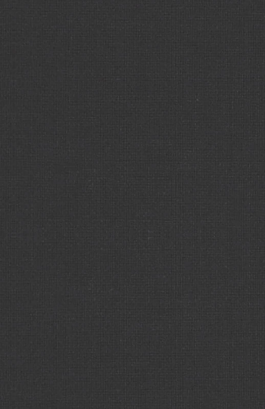 Govering for the Environment: Global Problems, Ethics and Democracy (Global Issues)