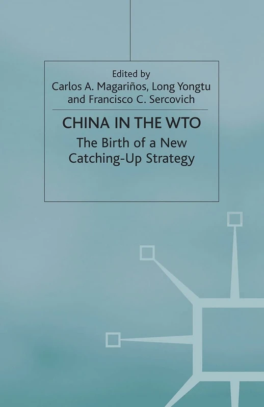 China in the WTO: The Birth of a New Catching-Up Strategy (St Antony's Series)
