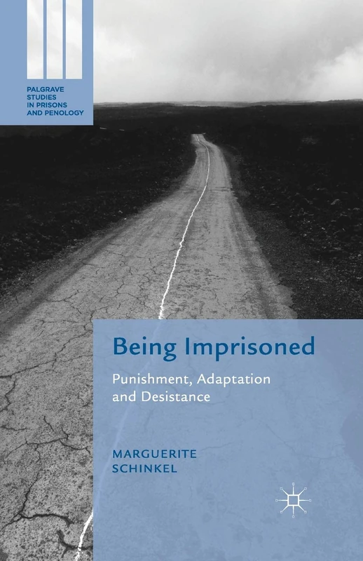 Being Imprisoned: Punishment, Adaptation and Desistance (Palgrave Studies in Prisons and Penology) - Image 1