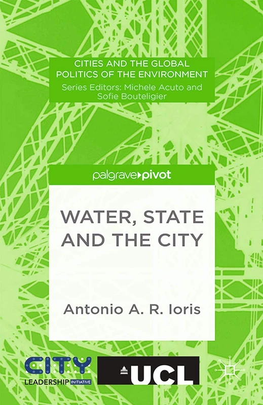Water, State and the City (Cities and the Global Politics of the Environment)