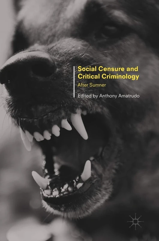 Social Censure and Critical Criminology: After Sumner - Image 1
