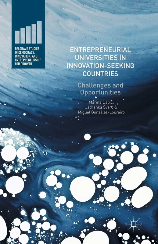 Entrepreneurial Universities in Innovation-Seeking Countries: Challenges and Opportunities (Palgrave Studies in Democracy, Innovation, and Entrepreneurship for Growth)