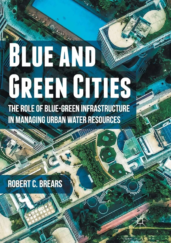 Blue and Green Cities: The Role of Blue-Green Infrastructure in Managing Urban Water Resources - Image 1