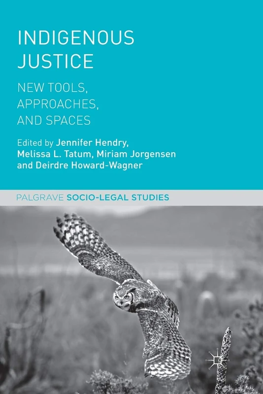 Indigenous Justice: New Tools, Approaches, and Spaces (Palgrave Socio-Legal Studies)