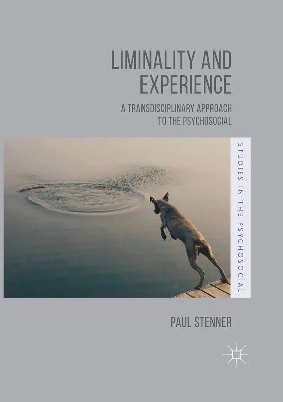 Liminality and Experience: A Transdisciplinary Approach to the Psychosocial (Studies in the Psychosocial)