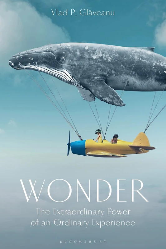 Wonder: The Extraordinary Power of an Ordinary Experience - Image 1