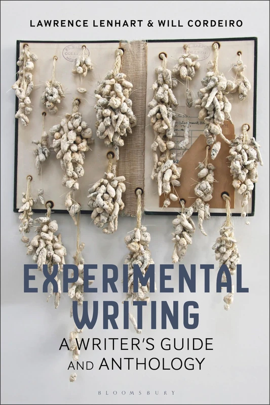 Experimental Writing: A Writer's Guide and Anthology (Bloomsbury Writer's Guides and Anthologies)