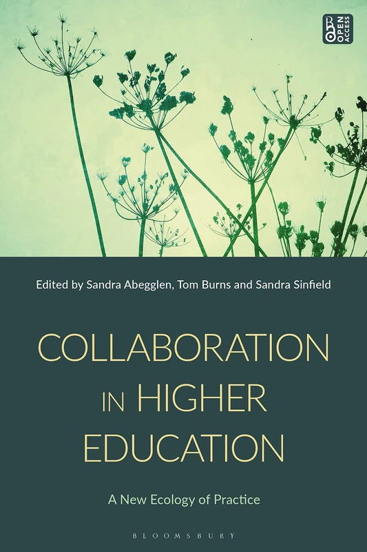 Collaboration in Higher Education: A New Ecology of Practice