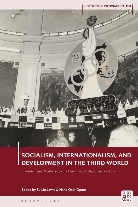 Socialism, Internationalism, and Development in the Third World: Envisioning Modernity in the Era of Decolonization (Histories of Internationalism)