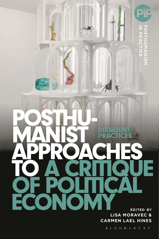 Posthumanist Approaches to a Critique of Political Economy: Dissident Practices (Posthumanism in Practice)