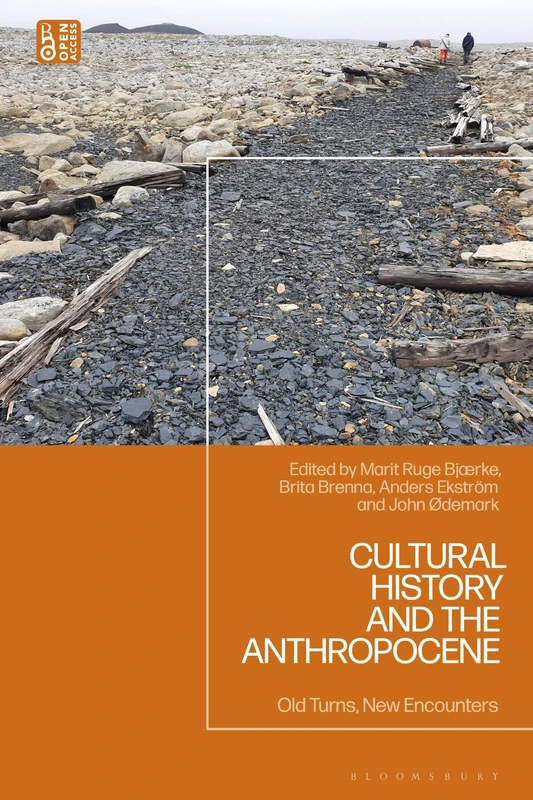 Cultural History and the Anthropocene: Old Turns, New Encounters
