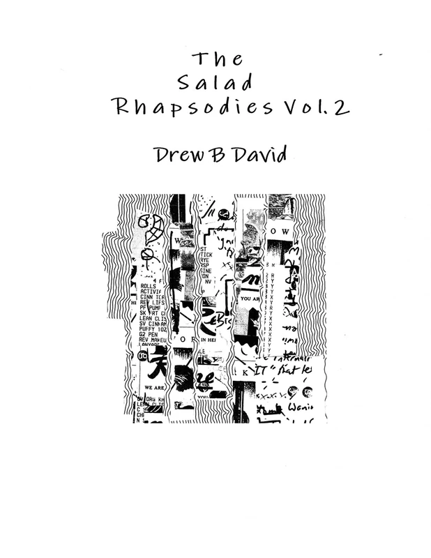 The Salad Rhapsodies Vol. 2 - Image 1