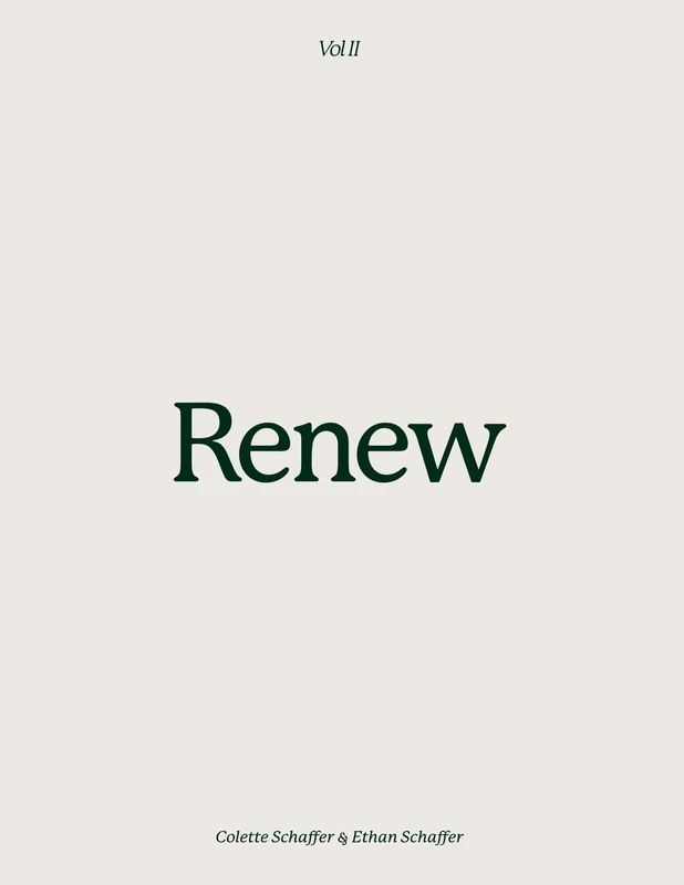 Renew - Volume 2: 365 verses and confessions