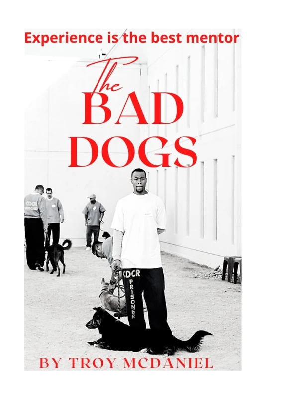 The Bad Dogs: Experience is the best mentor