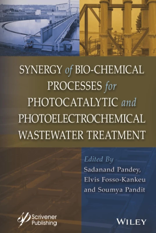 Synergy of Bio-Chemical Processes for Wastewater Treatment