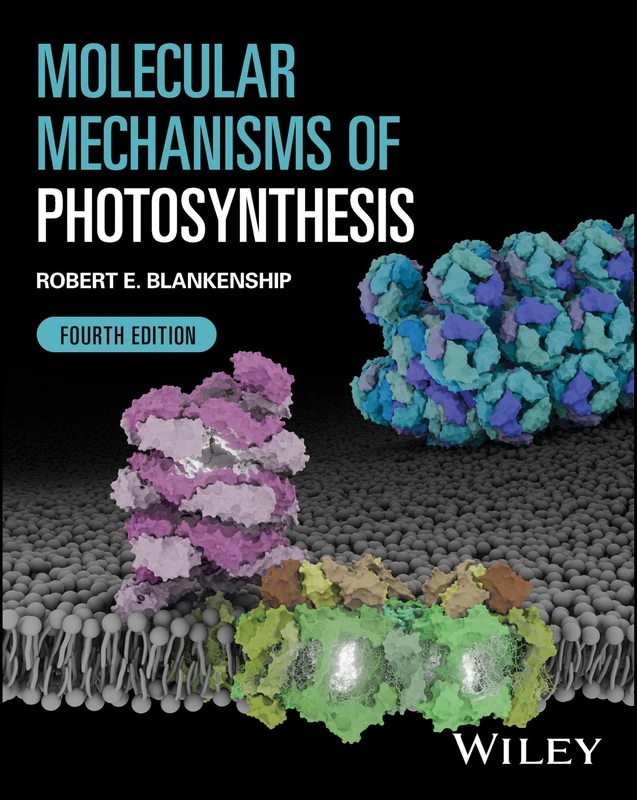 Molecular Mechanisms of Photosynthesis