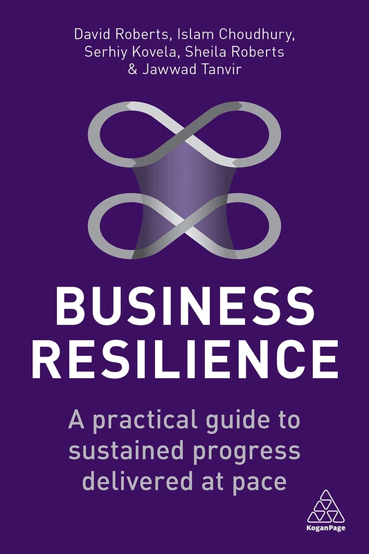 Business Resilience: A Practical Guide to Sustained Progress Delivered at Pace